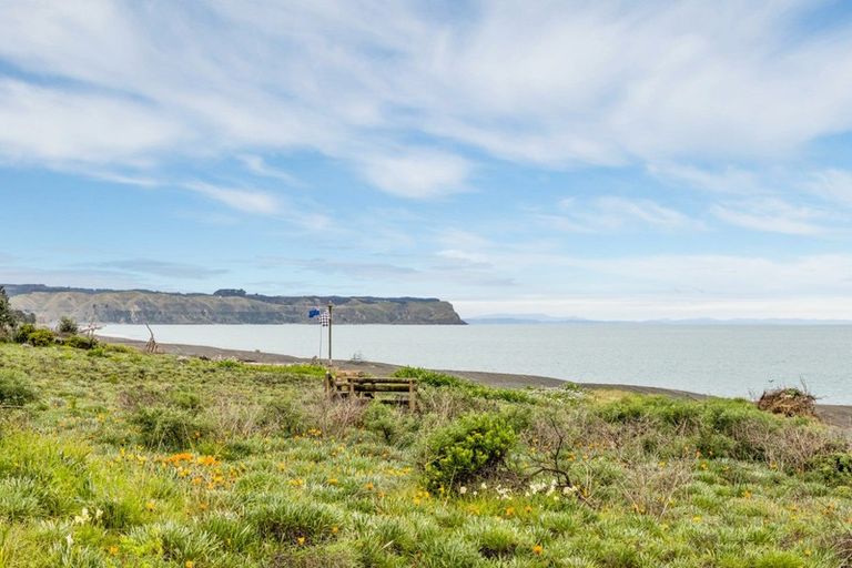 Photo of property in 238 Whirinaki Road, Eskdale, Napier, 4182