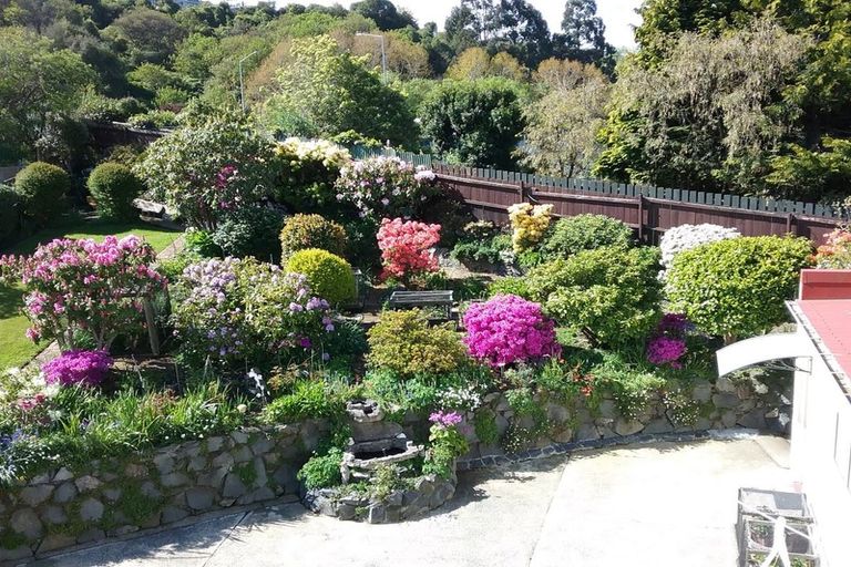 Photo of property in 16 Lisburn Avenue, Caversham, Dunedin, 9012