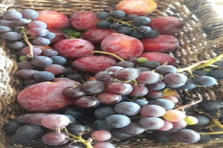 Photo of property in 41 Cory Road, Kaukapakapa, 0873