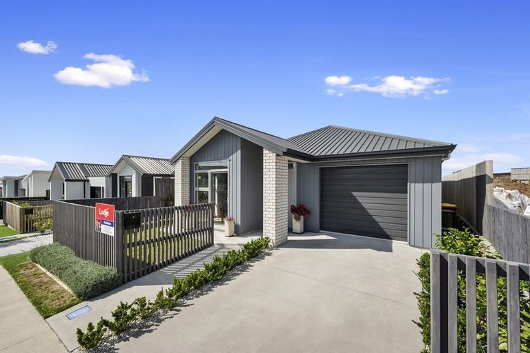 Photo of property in 8 Whakapono Avenue, Baverstock, Hamilton, 3200