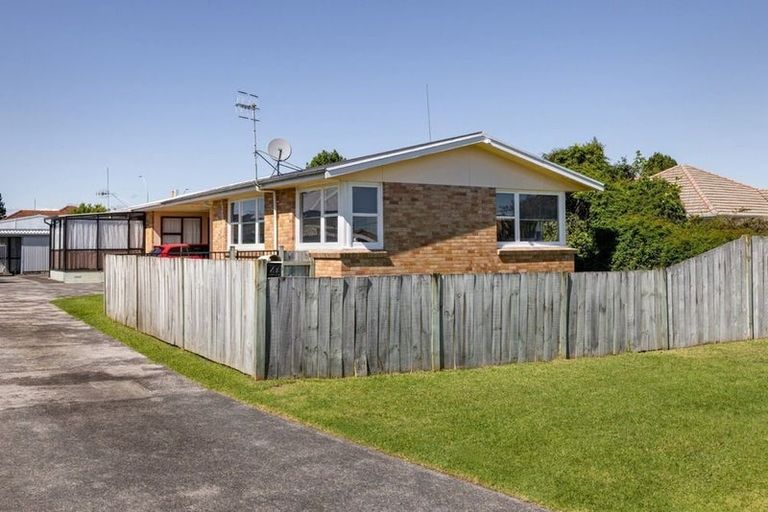 Photo of property in 14a Rimu Street, Gate Pa, Tauranga, 3112
