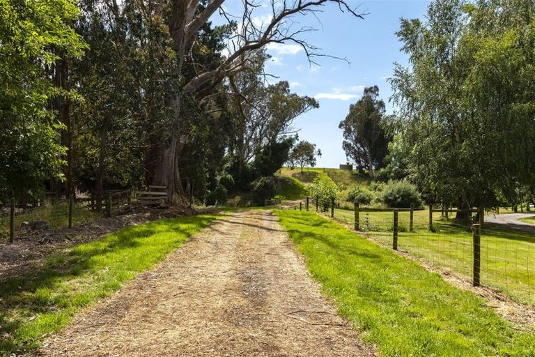 Photo of property in 256 Beatties Road, Ashley, Rangiora, 7477