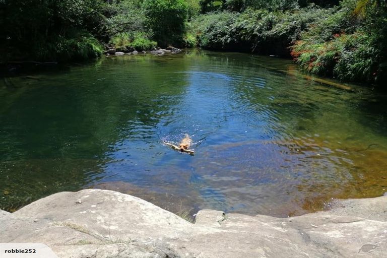 Photo of property in 243 Ross Road, Whakamarama, Tauranga, 3179