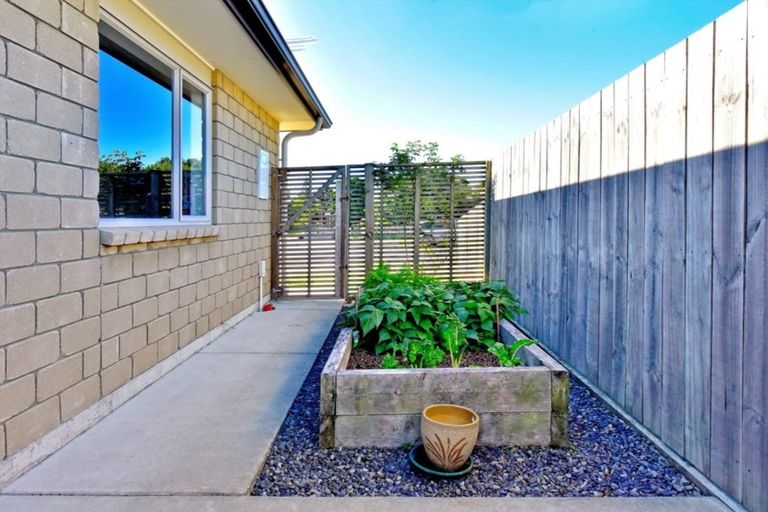 Photo of property in 67 James Street, Whakatane, 3120