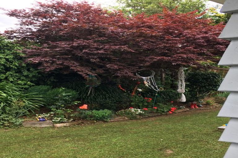 Photo of property in 37a Moule Street, Kihikihi, Te Awamutu, 3800