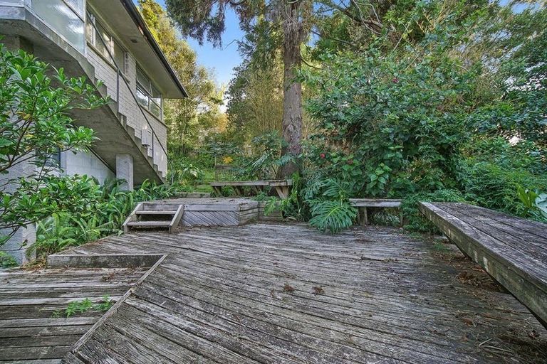 Photo of property in 25 Walnut Lane, Browns Bay, Auckland, 0630