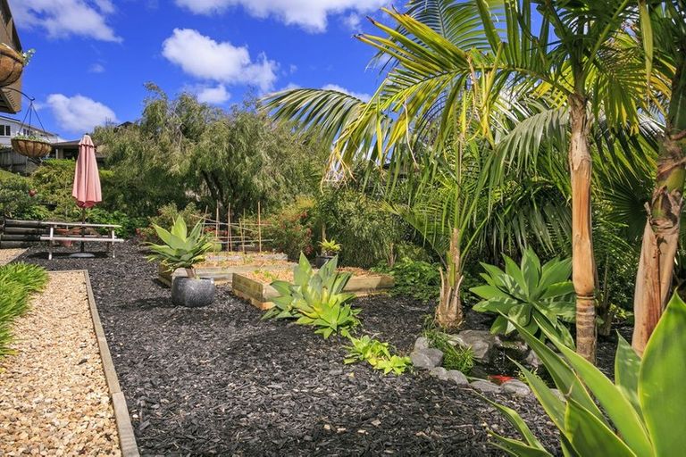 Photo of property in 14 Galaxy Drive, Mairangi Bay, Auckland, 0630
