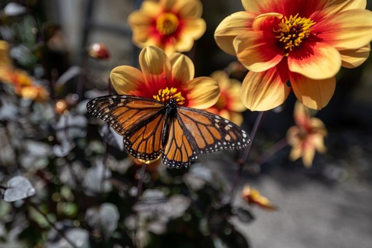 Photo of property in 74 Sunset Road, Mangakakahi, Rotorua, 3015