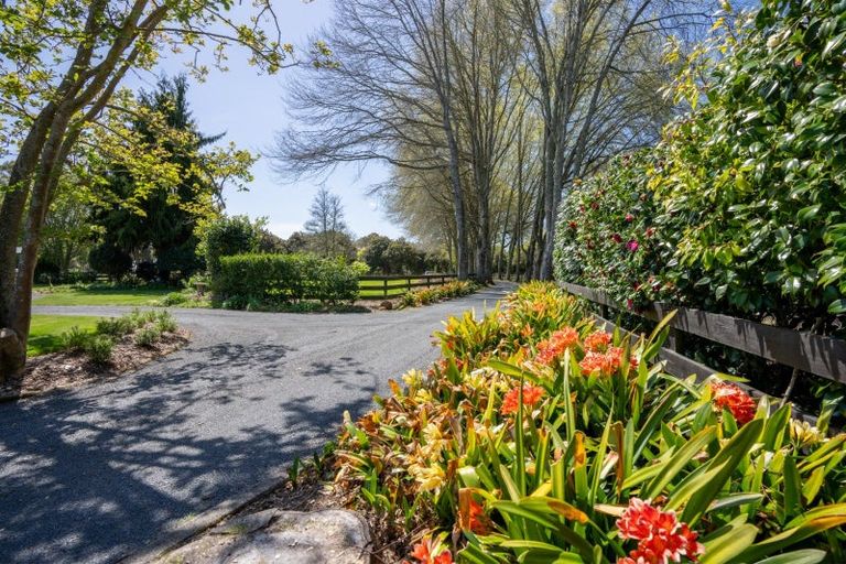 Photo of property in 53 Poplar Lane, Matangi, Hamilton, 3284