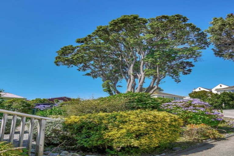 Photo of property in 58 Bould Street, Johnsonville, Wellington, 6037