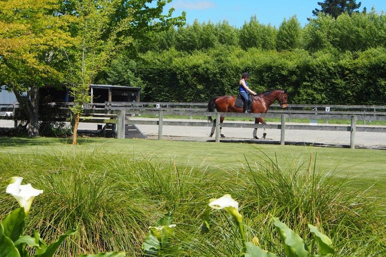 Photo of property in 100 Easterbrook Road, Fernside, Kaiapoi, 7691