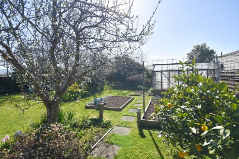 Photo of property in 38 Philip Street, Carterton, 5713