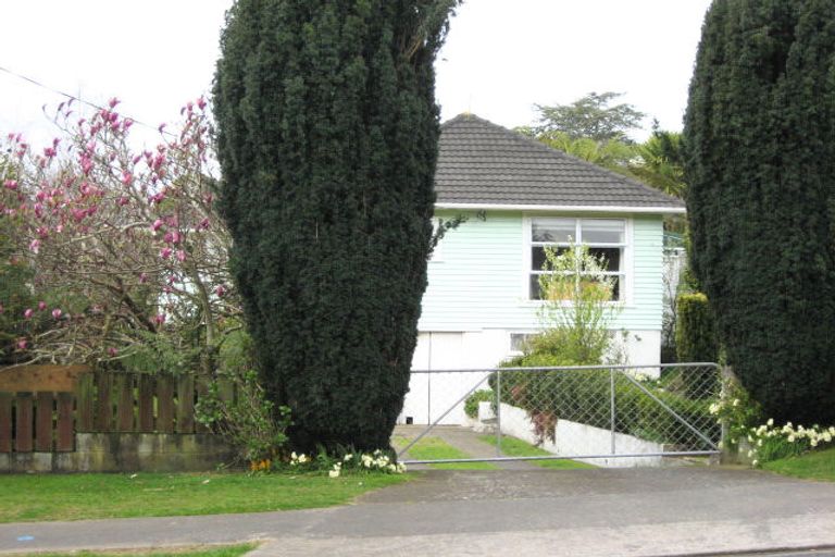 Photo of property in 55 Awanui Street, Merrilands, New Plymouth, 4312
