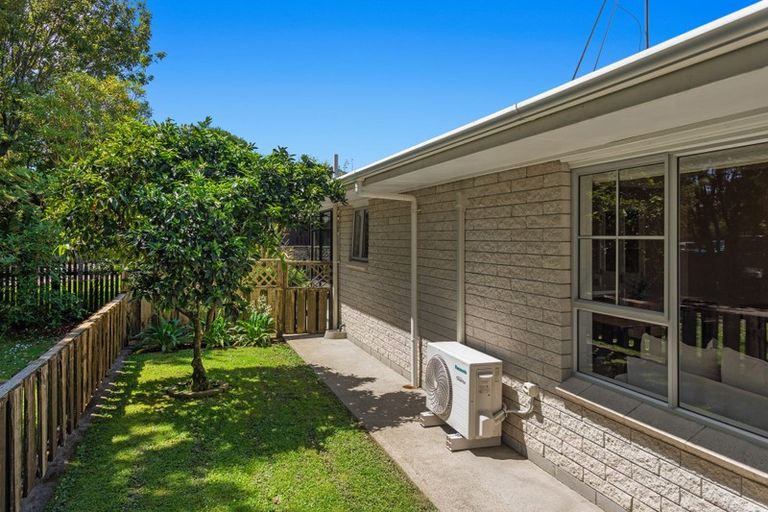 Photo of property in 171a King Street, Whakatane, 3120