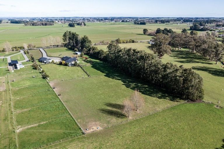 Photo of property in 255 Calico Line, Marton, 4787