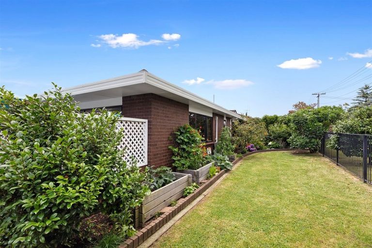 Photo of property in 26a Sixteenth Avenue, Tauranga South, Tauranga, 3112