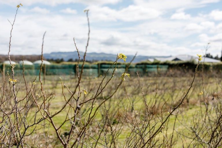 Photo of property in 36 Hogbin Road, Te Teko, Whakatane, 3193