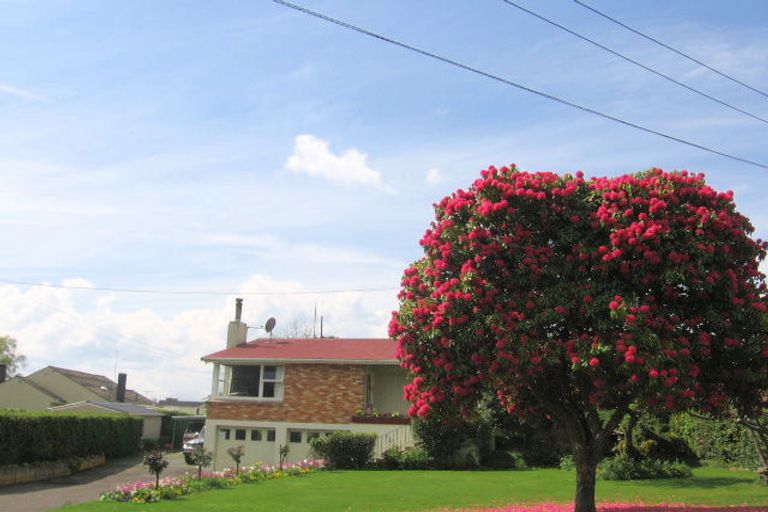 Photo of property in 8 Lewis Road, Lynmore, Rotorua, 3010