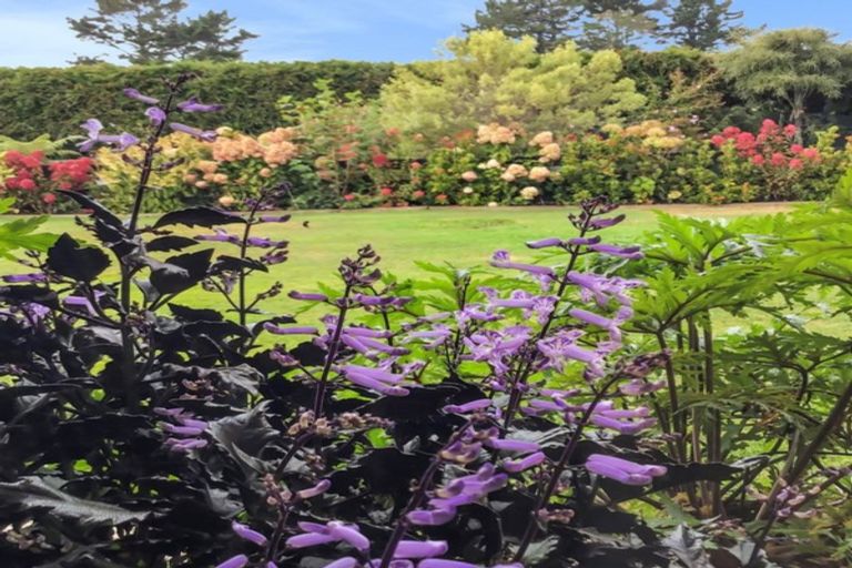 Photo of property in 1347 Carrington Road, Hurworth, New Plymouth, 4371