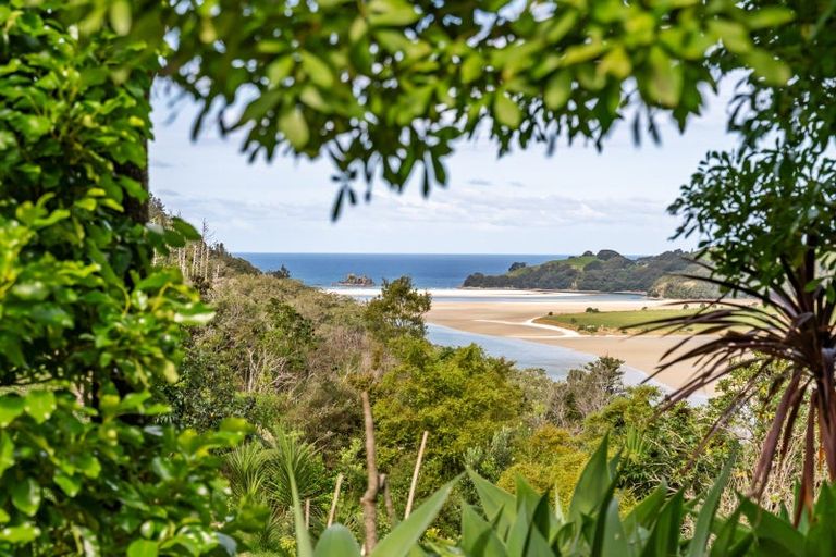 Photo of property in 289e Opoutere Road, Opoutere, Whangamata, 3691