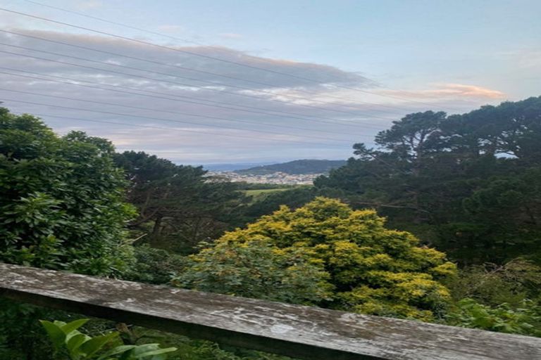 Photo of property in 43 Mortimer Terrace, Brooklyn, Wellington, 6021