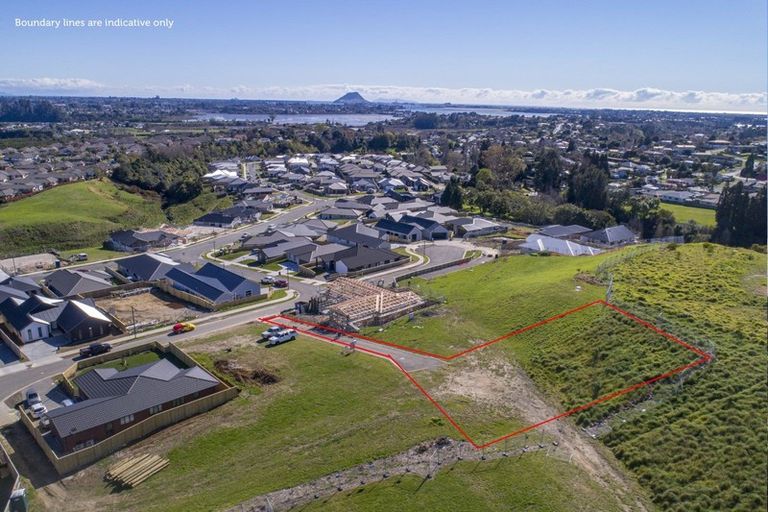 Photo of property in 42 Pinkerton Place, Ohauiti, Tauranga, 3112