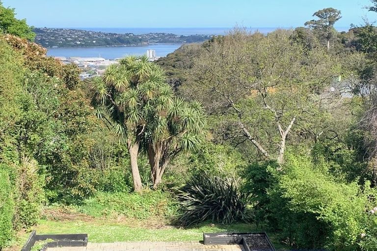 Photo of property in 26 Henry Street, Maori Hill, Dunedin, 9010