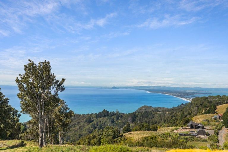 Photo of property in 269 Ngatitangata Road, Waihi, 3681