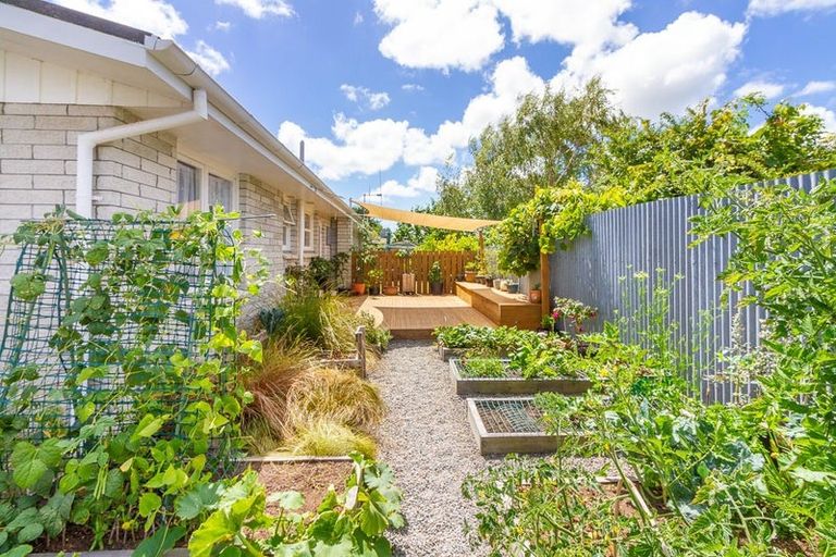 Photo of property in 3/123 Vogel Street, Roslyn, Palmerston North, 4414