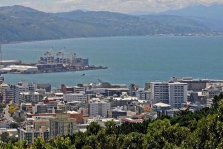 Photo of property in Manston Apartments, 3c/145 Ohiro Road, Brooklyn, Wellington, 6021