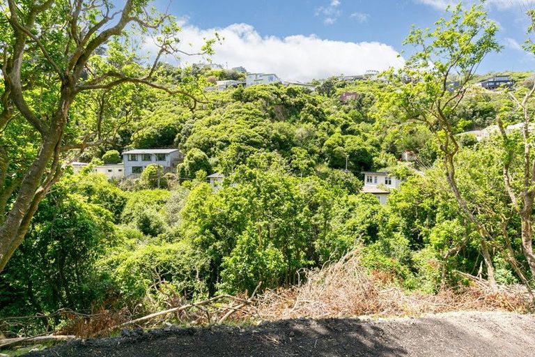 Photo of property in 344 Ohiro Road, Brooklyn, Wellington, 6021