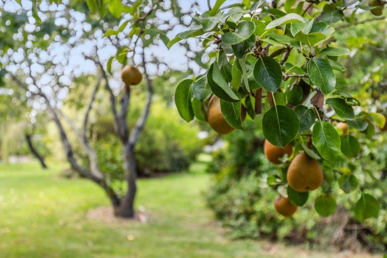 Photo of property in 48 Lightband Road, Hope, Brightwater, 7091