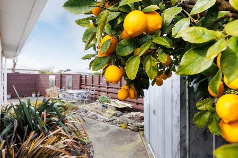 Photo of property in 10 Botanical Road, Takaro, Palmerston North, 4412