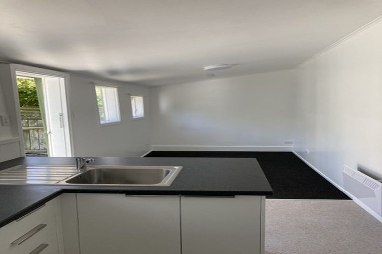 Photo of property in 43 Honiana Te Puni Street, Aro Valley, Wellington, 6021