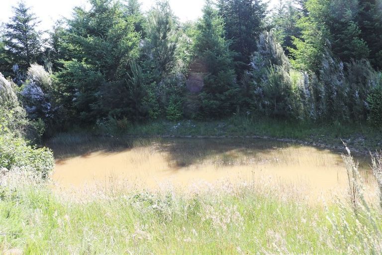 Photo of property in 147p Mount Lyford Forest Drive, Lyford, Waiau, 7395