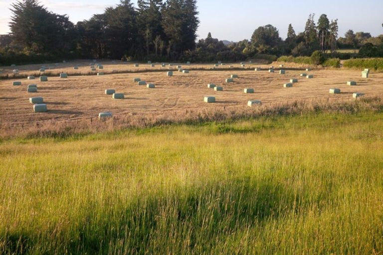 Photo of property in 114 Dudley Road Upper, Inglewood, 4386