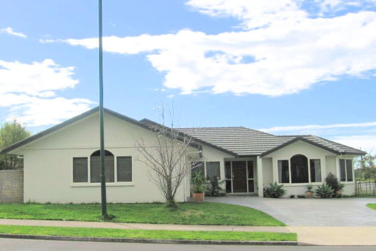 Photo of property in 42 Rowesdale Drive, Ohauiti, Tauranga, 3112