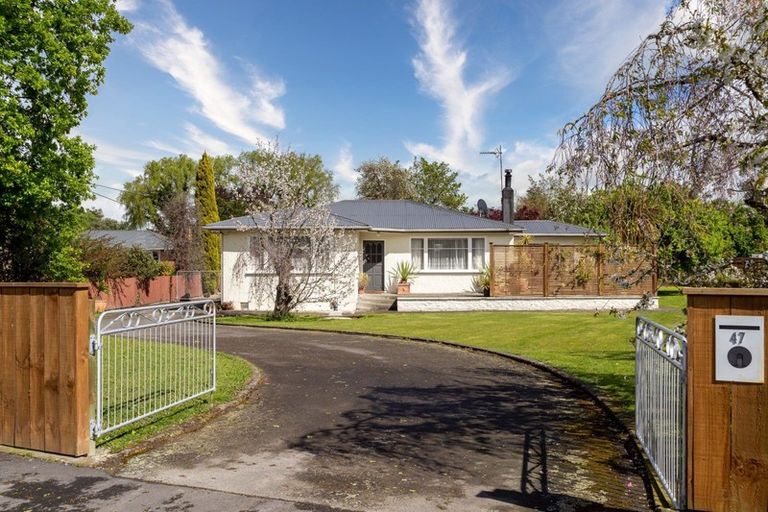 Photo of property in 47 Raglan Street, Lansdowne, Masterton, 5810