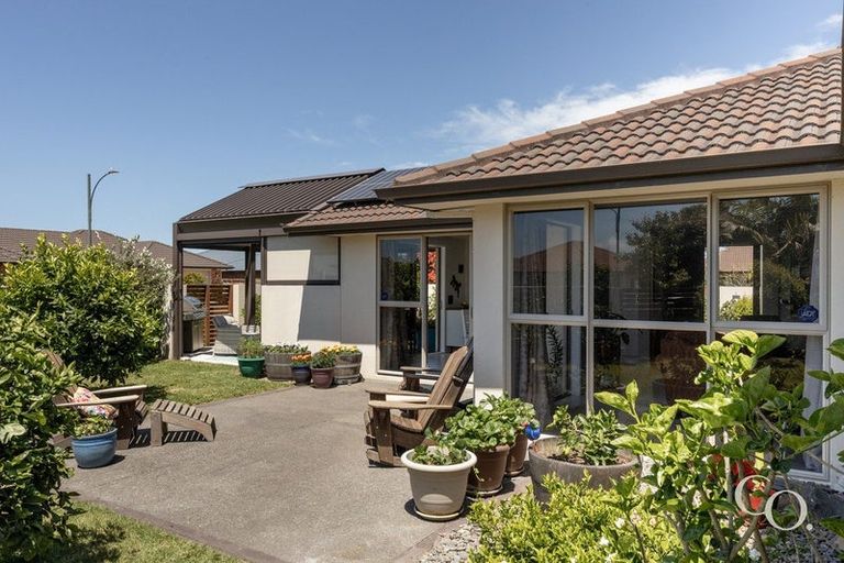 Photo of property in 2 Koro Mews, Papamoa Beach, Papamoa, 3118