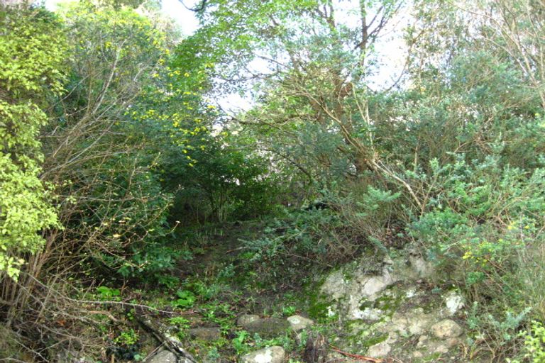 Photo of property in 38 Bay Road, Purakaunui, Port Chalmers, 9081