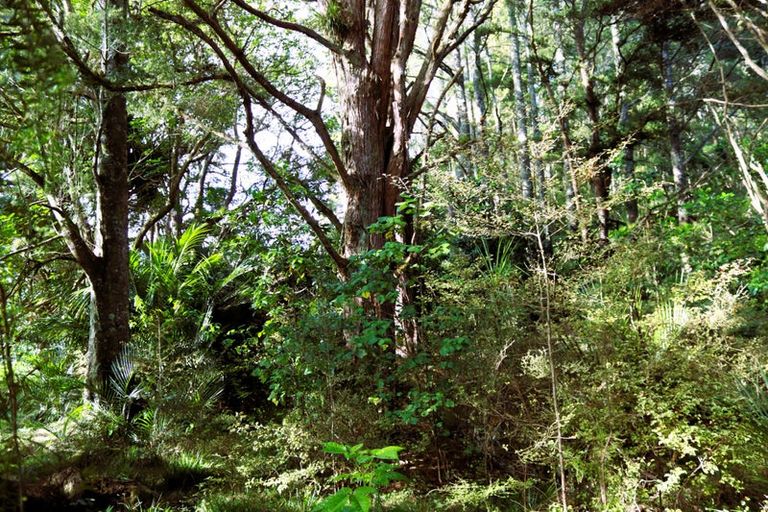 Photo of property in 742a Tara Road, Mangawhai, Kaiwaka, 0573