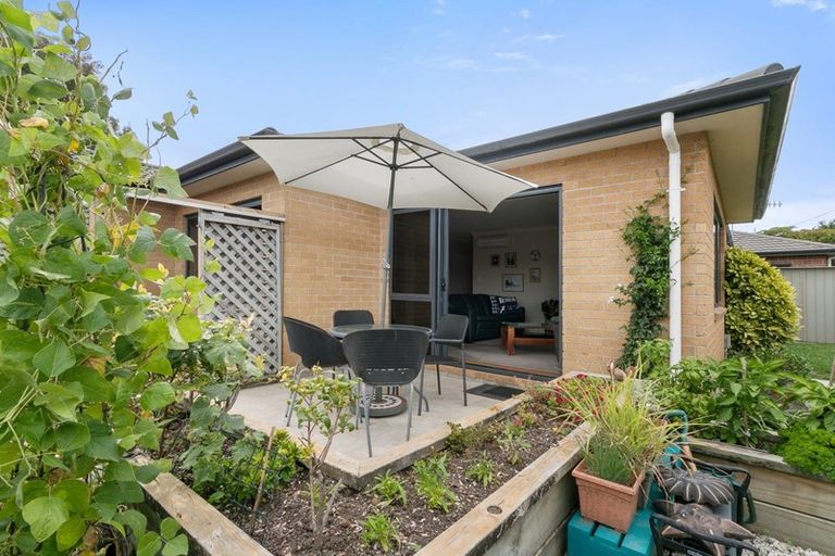 Photo of property in 95 Middle Road, Havelock North, 4130