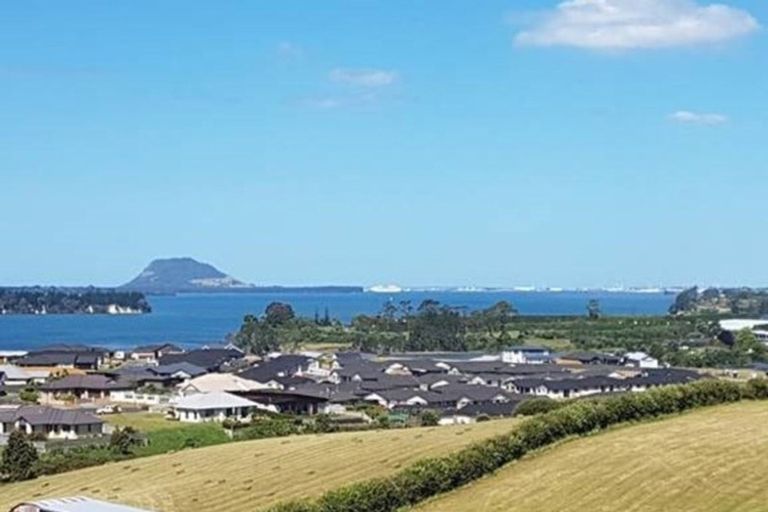 Photo of property in 22 Ridge Drive, Omokoroa, 3114