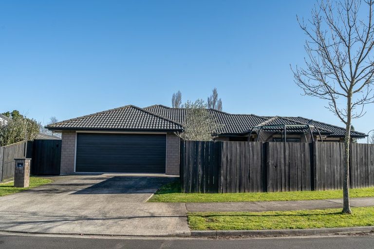 Photo of property in 31 Tupelo Street, Pukete, Hamilton, 3200