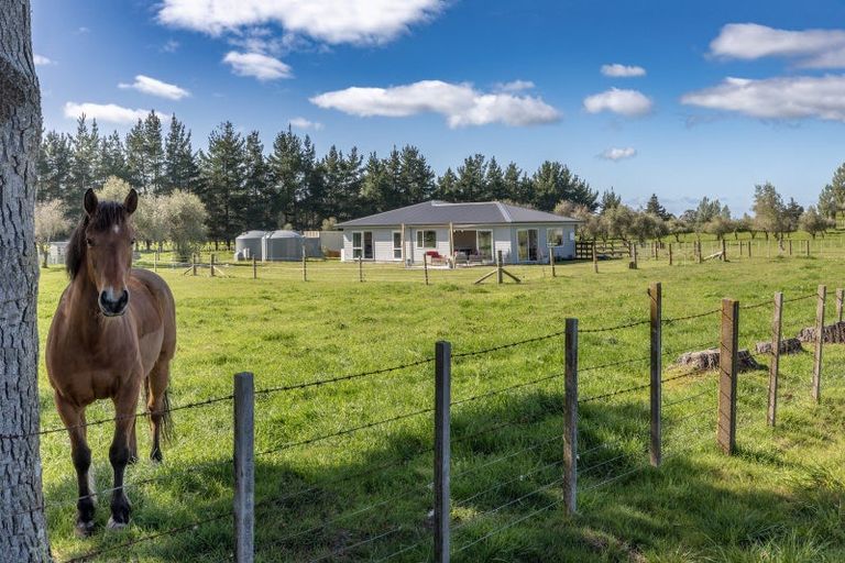 Photo of property in 158 Caldwell Road, Ongaonga, 4279