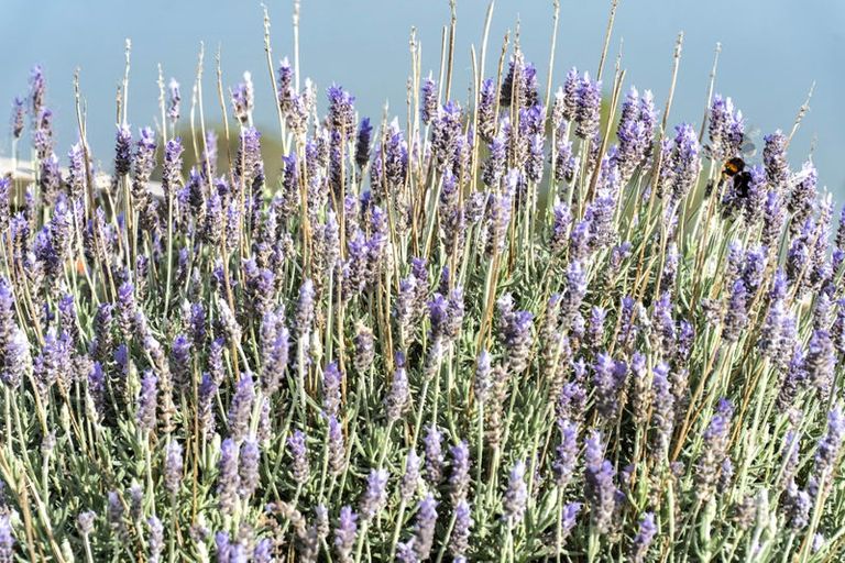 Photo of property in 17 Dem Road, Pahi, Paparoa, 0571