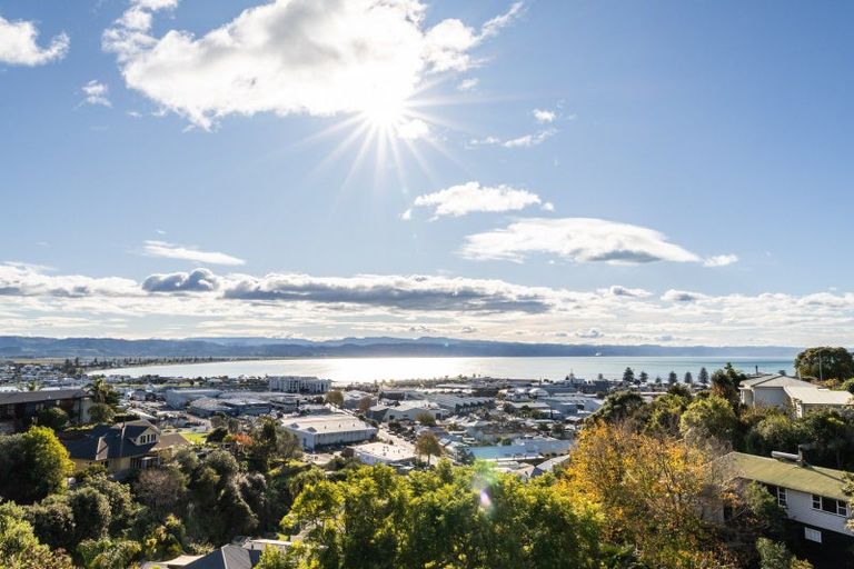 Photo of property in 21 Denholm Road, Hospital Hill, Napier, 4110