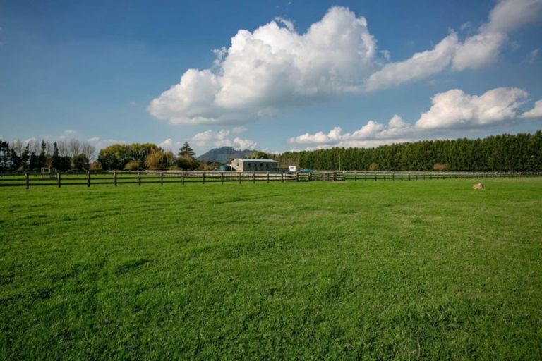 Photo of property in 298 Bellevue Road, Matangi, Cambridge, 3493