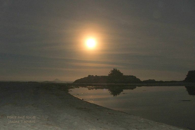 Photo of property in 23 Seaview Road, Brighton, Dunedin, 9035