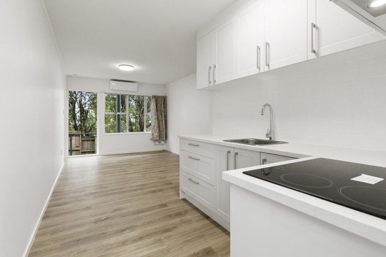 Photo of property in 8/825 New North Road, Mount Albert, Auckland, 1025